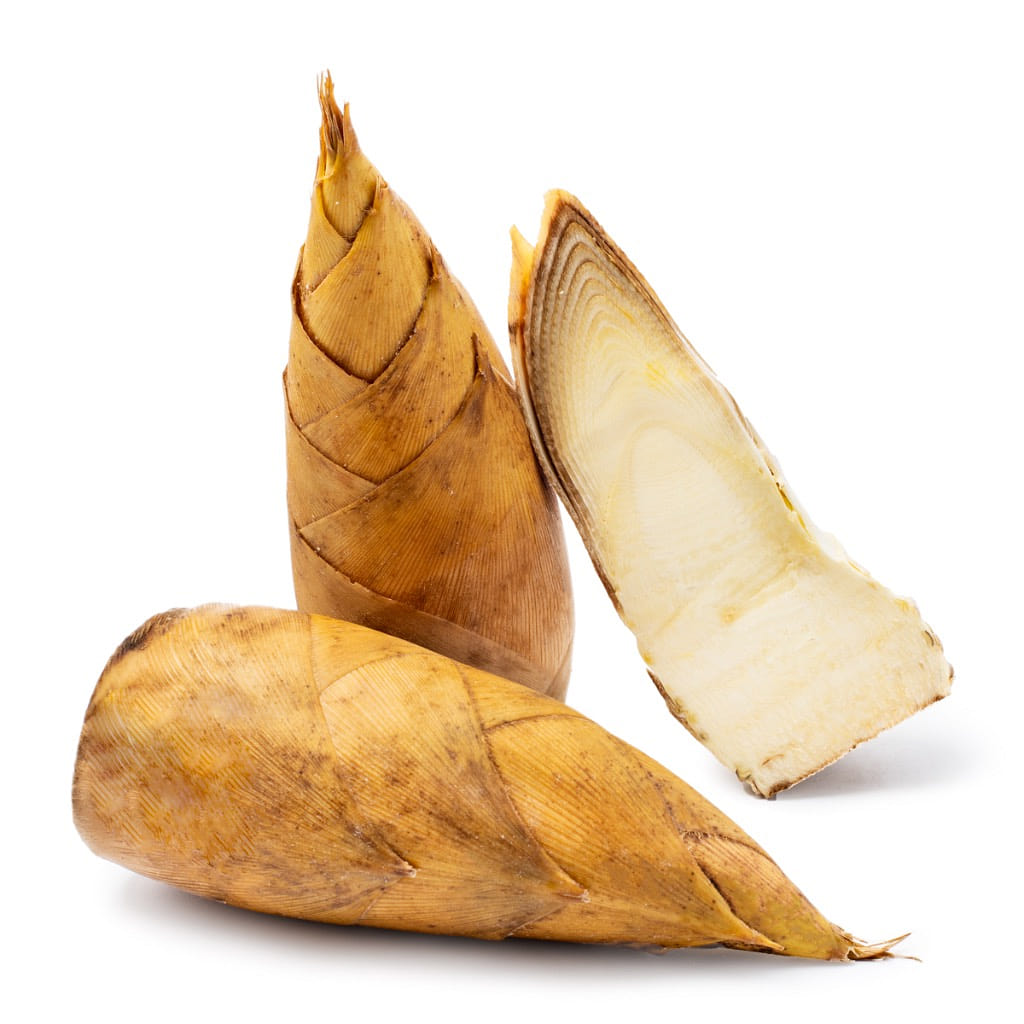 Winter Bamboo Shoots 1.5-1.8 lb