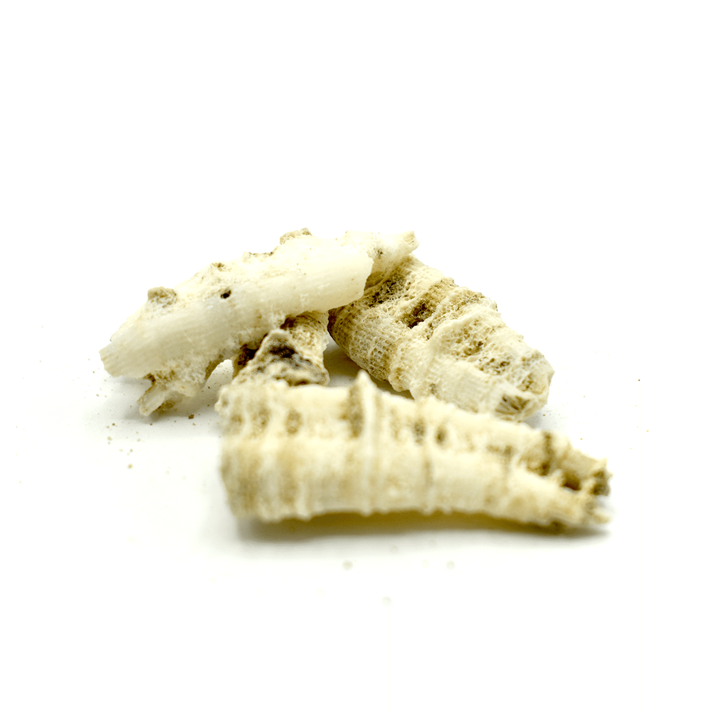 E GUAN SHI – Tip of Tubular Stalactites – Custom Amount 1lb lb 1 each