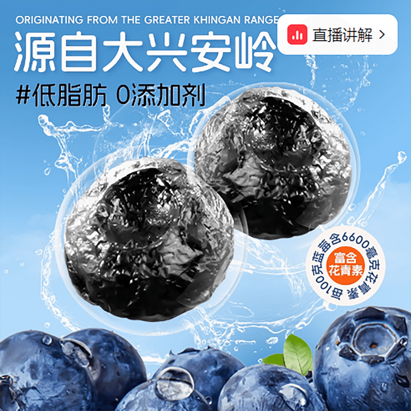 Heilongjiang Daxinganling wild dried blueberries 30 g