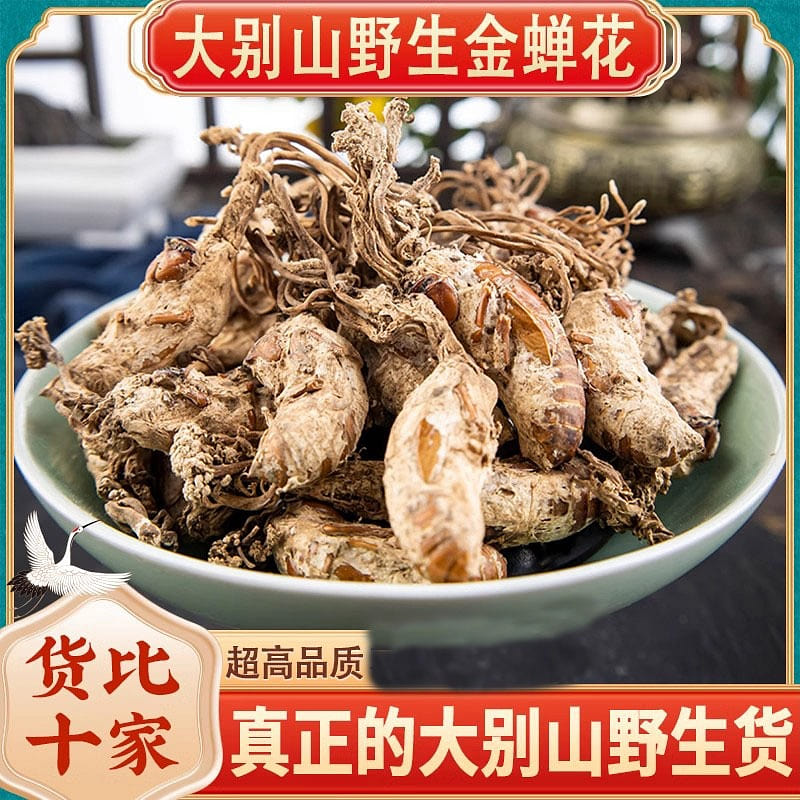 Golden Cicada Flower Wild 250g Selected Cicada Flower Cordyceps Spore Powder 250 g
