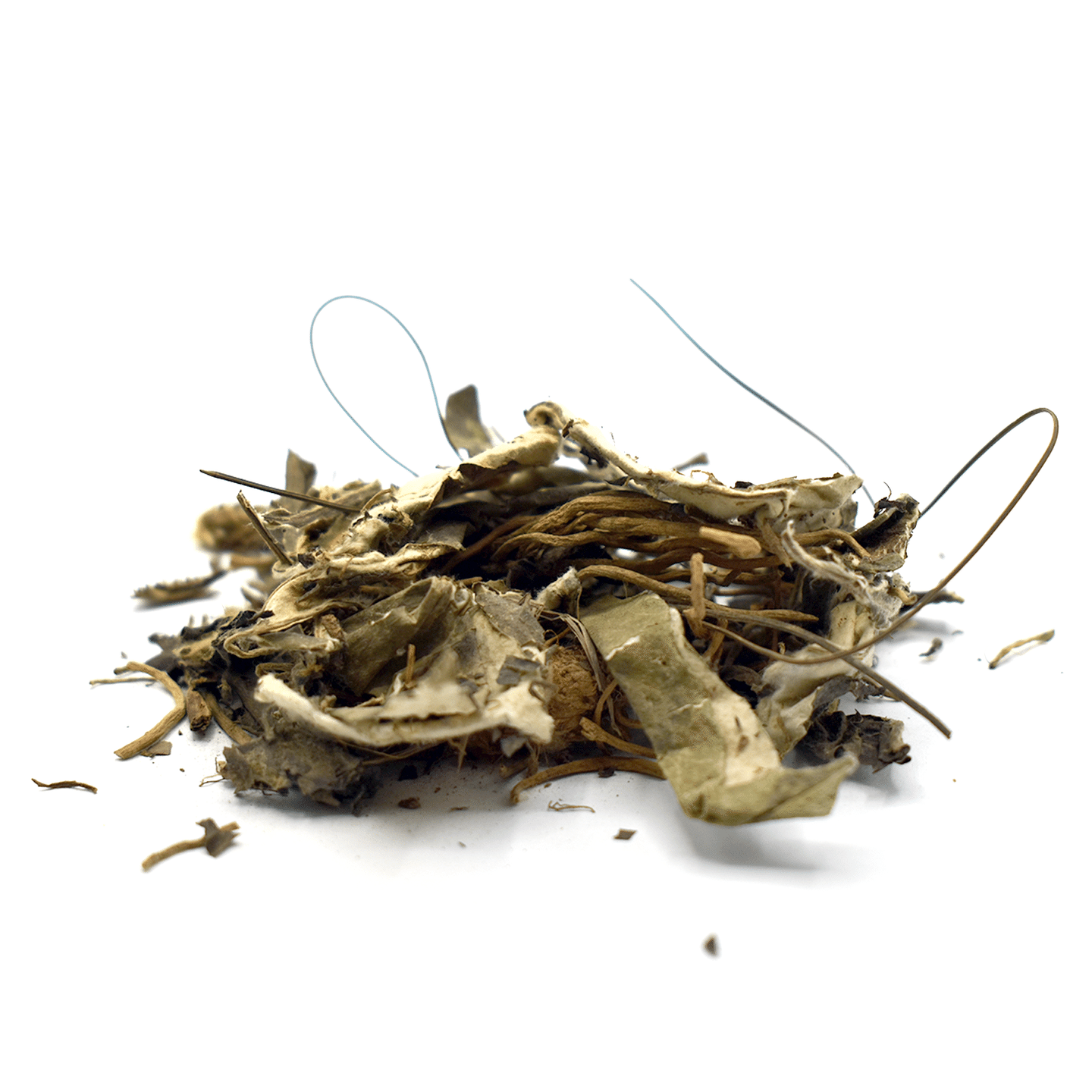 BAI MEI CAO – Herb of Pilose Gerbers – Custom Amount 100g 1 each