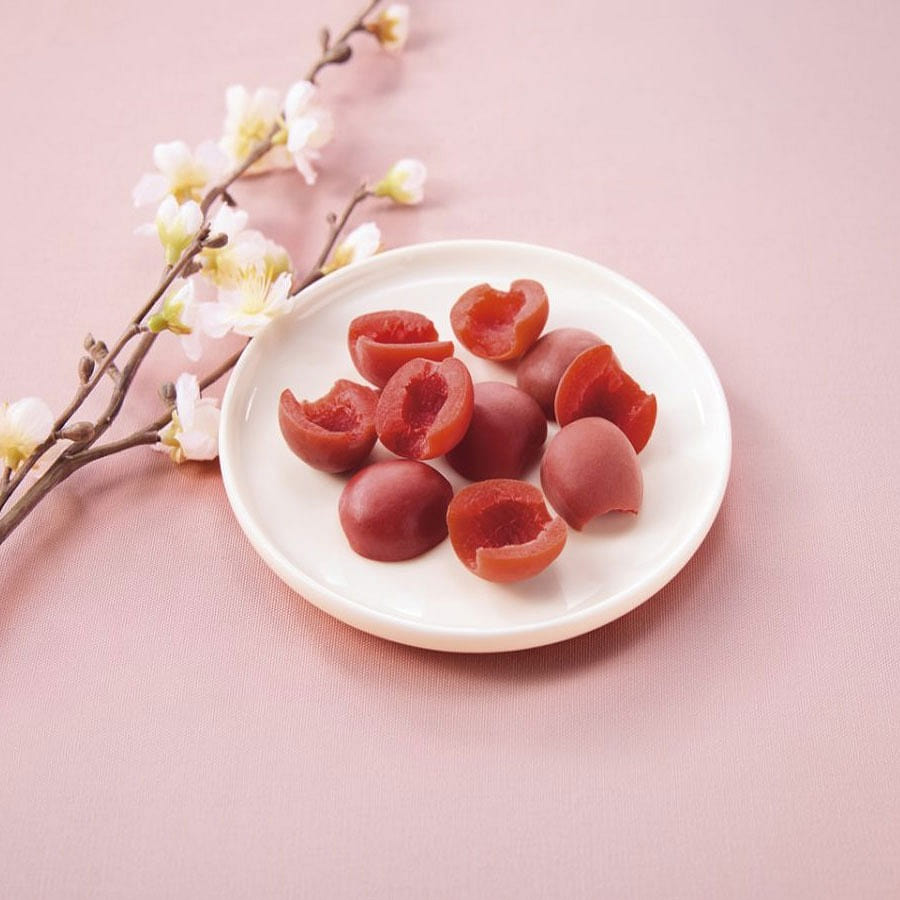 Pitted Seasoned Crispy Plum for Rice Mixing 90 g