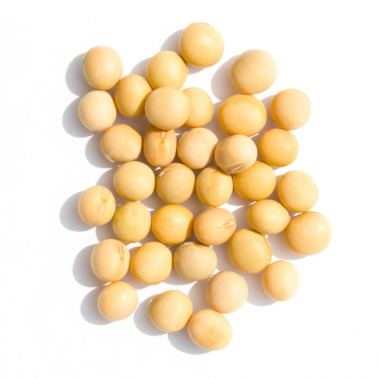 Soybean, 2lb, 4lb 4lb 1 each