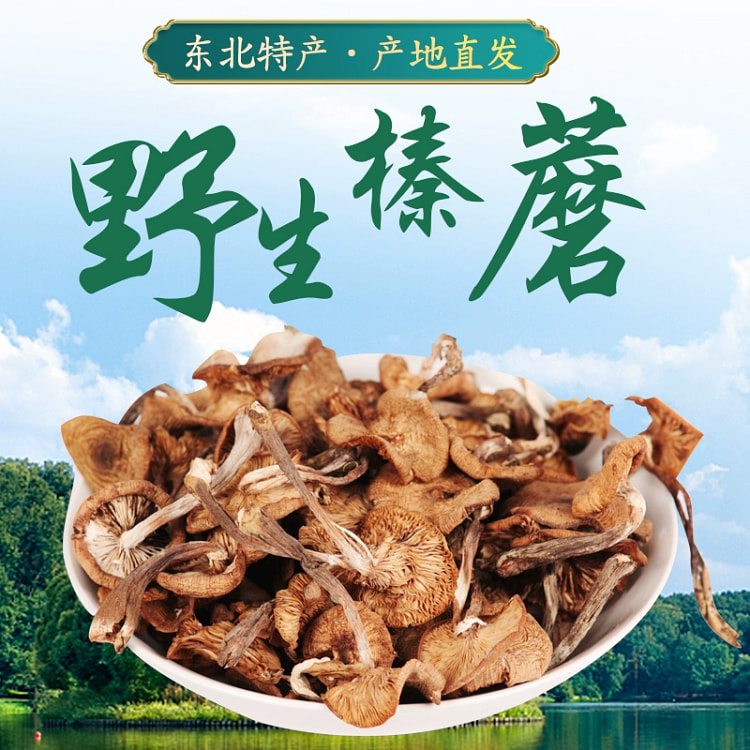 东北野生榛蘑250g*1袋