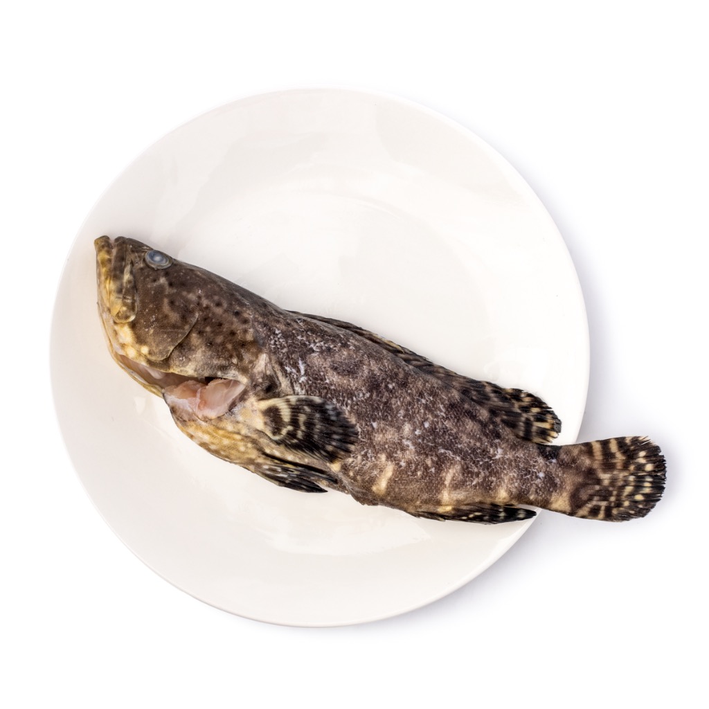 Pearl Grouper, Frozen 600-700 g