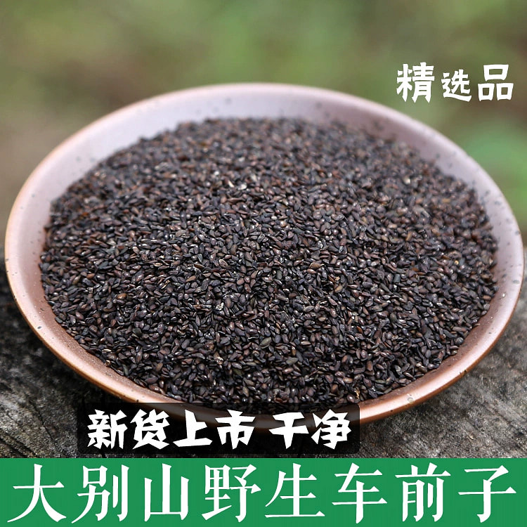 车前子中药材正品 车前草籽*1袋