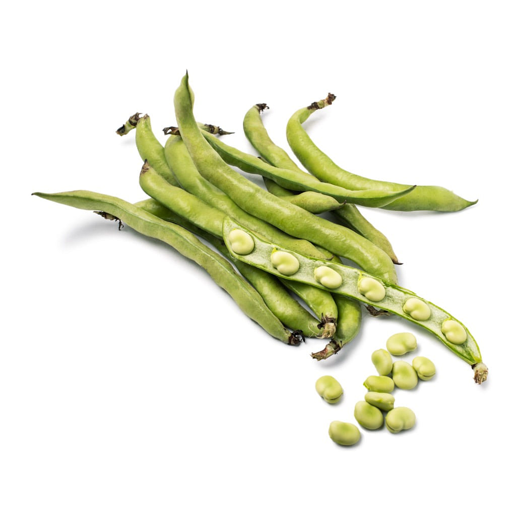 Favas 3 lb