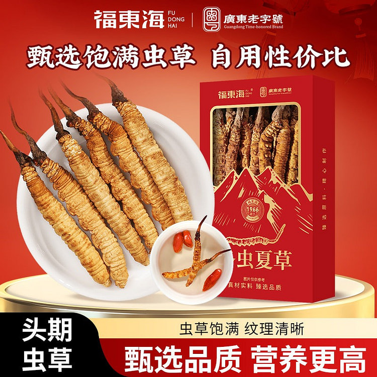 Fudonghai Authentic Qinghai Cordyceps Sinensis 3 g