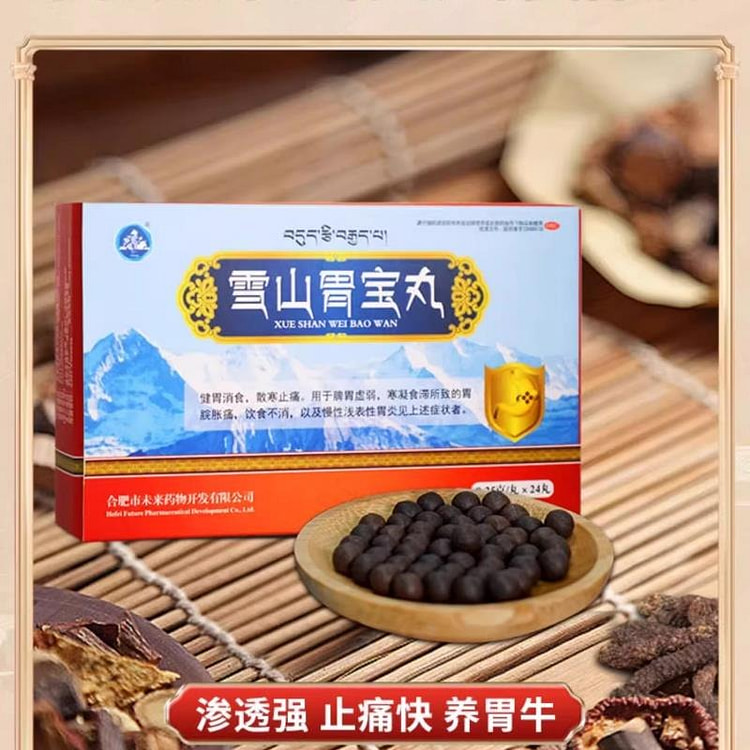 雪山胃宝丸 脾胃虚弱胃疼胃胀溃疡0.25g*24丸