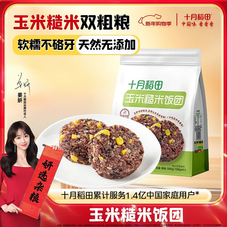 十月稻田 玉米糙米饭团 100g*5个  即食低脂 500 克