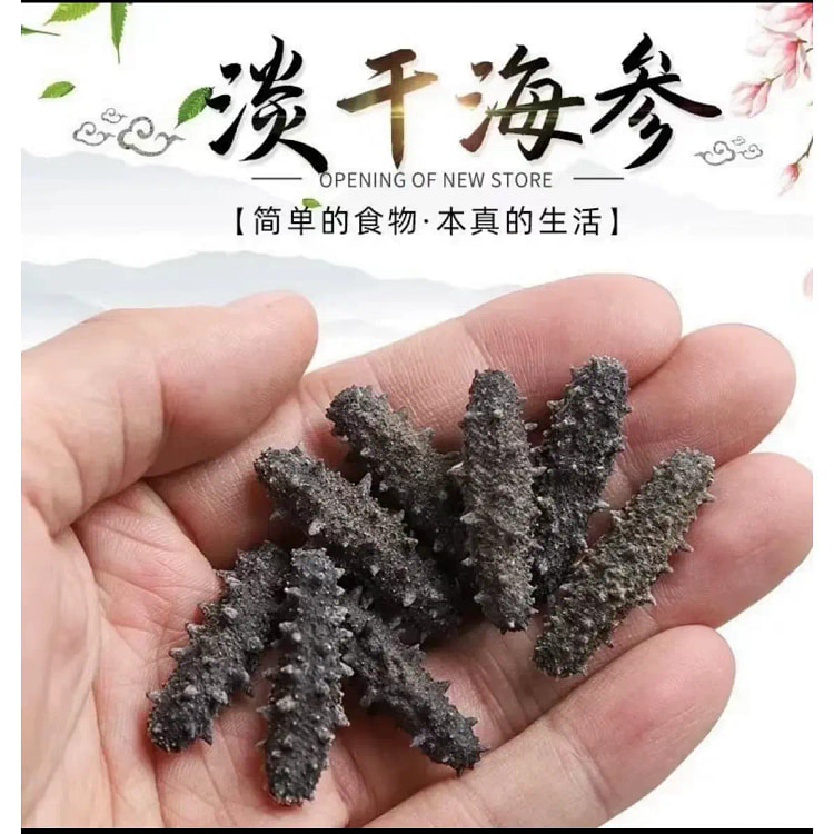 11 light dried sea cucumbers 5-6 cm