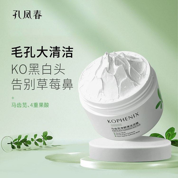 孔凤春净颜清洁泥膜肌肤控油100g*1
