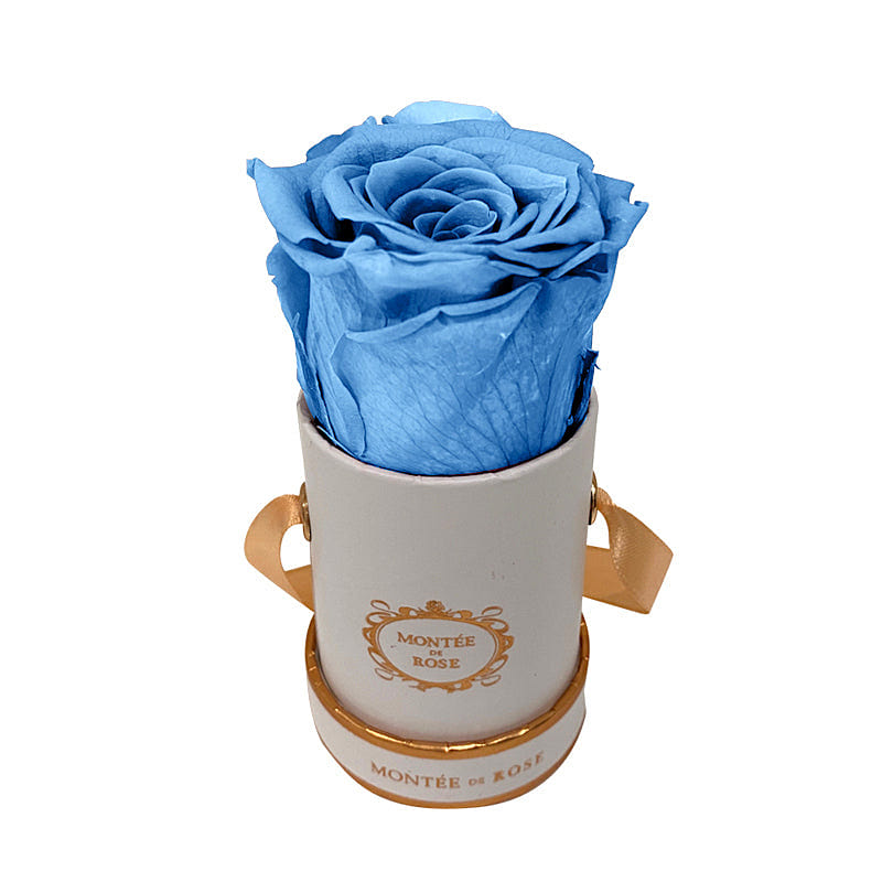 White Mini Round Sky Blue 1 each