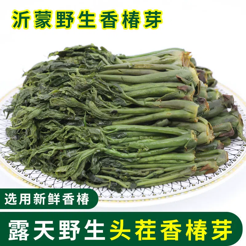 Toon sprouts and pickles500g*1bag 500 g