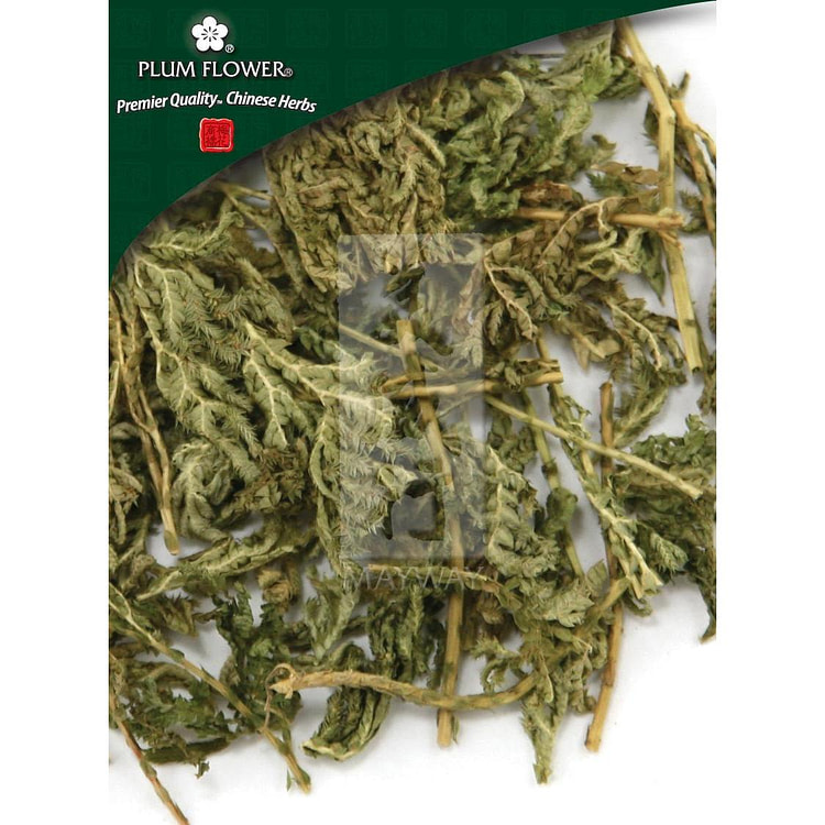 Shi Shang Bai, unsulfured Selaginella doederleinii herb