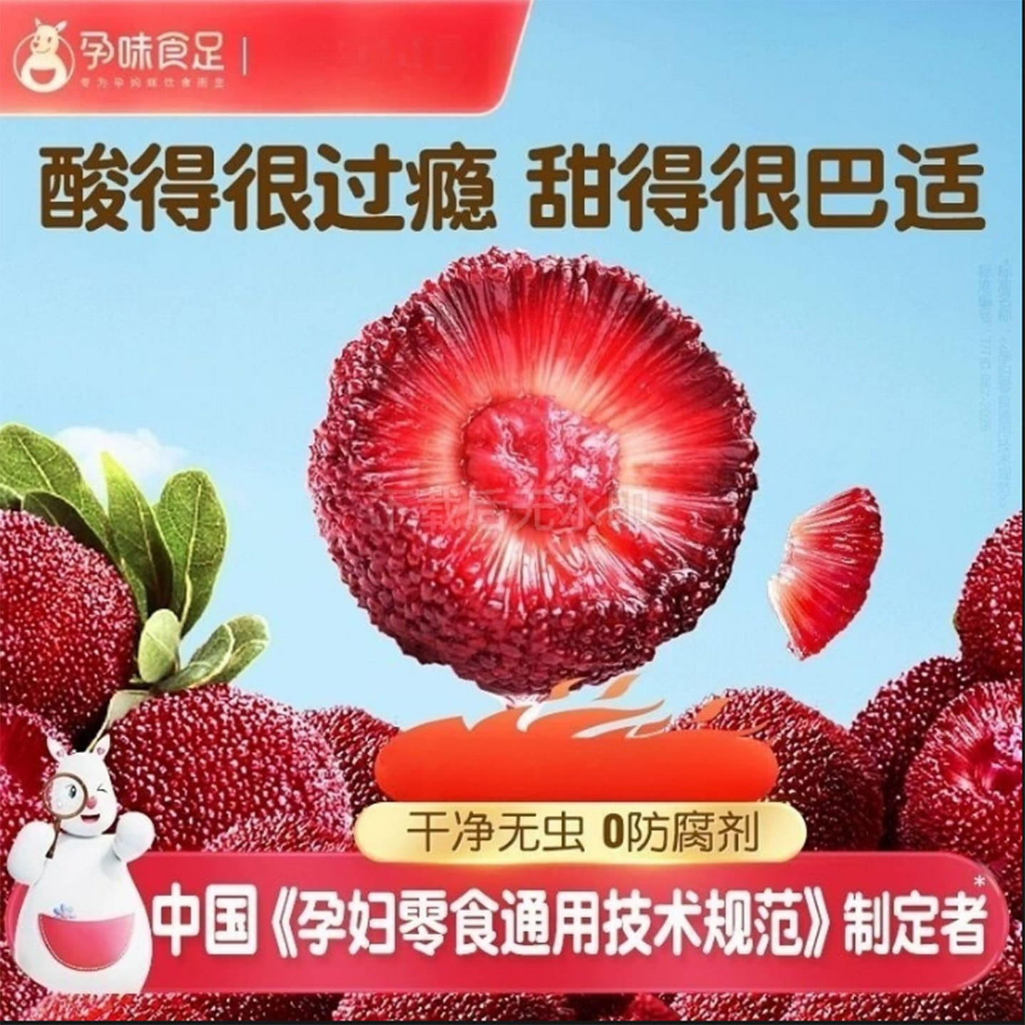 Pregnant flavor and full of dried bayberry 240 g