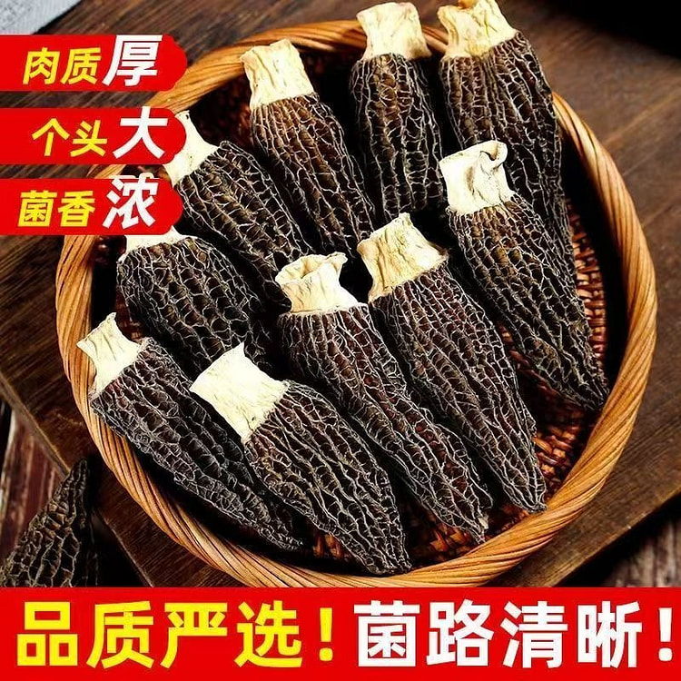 正宗羊肚菌100g大号干货7-11CM