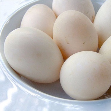 アヒルの卵 鴨卵1箱 - Weee!