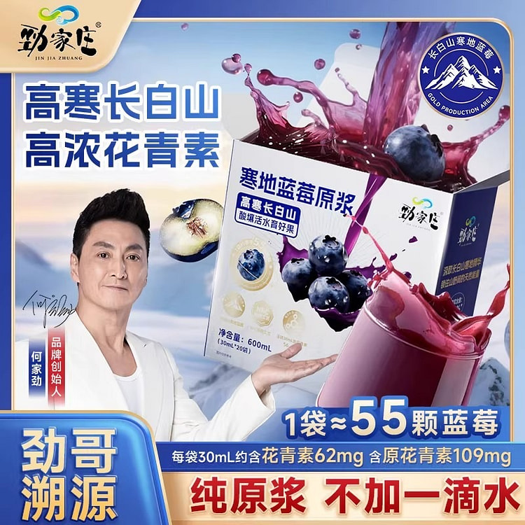 劲家庄100%纯寒地蓝莓原浆600ml无添加原液 600 毫升