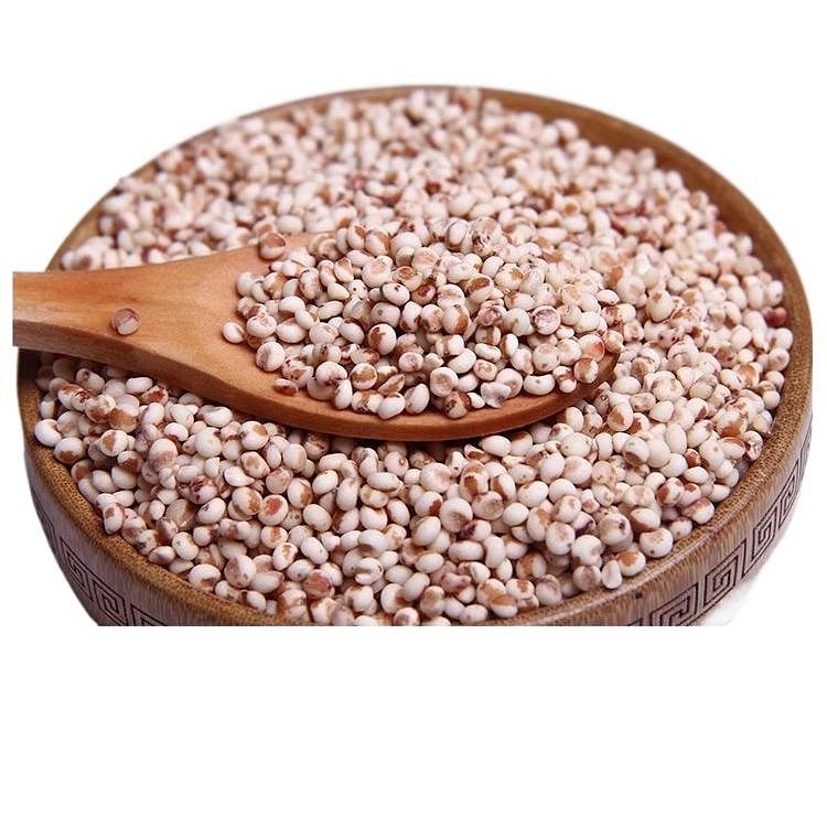 Sticky red sorghum rice 500g * 1 bag