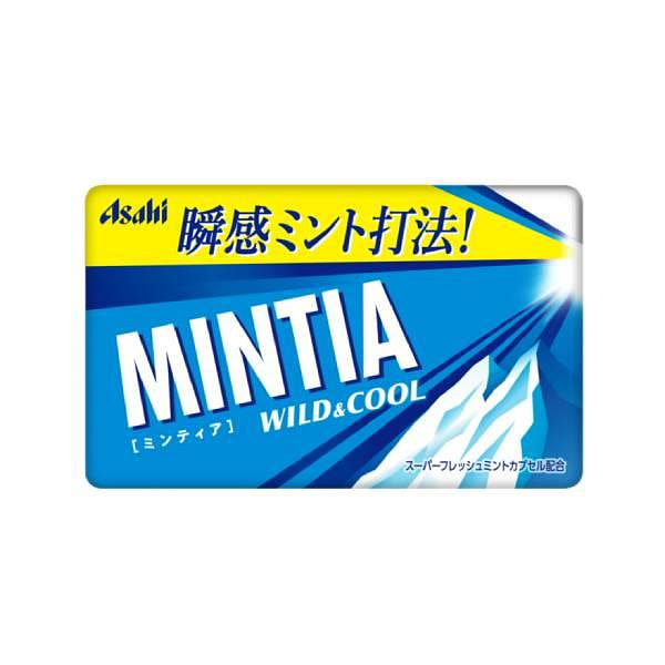 Asahi Mintia Wild & Cool Mint Tablets 50pcs 1 each
