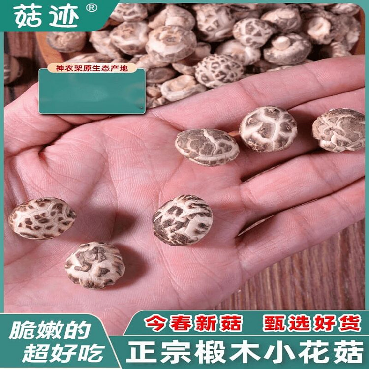 Fangxian basswood Small Mushroom 300g 300 g