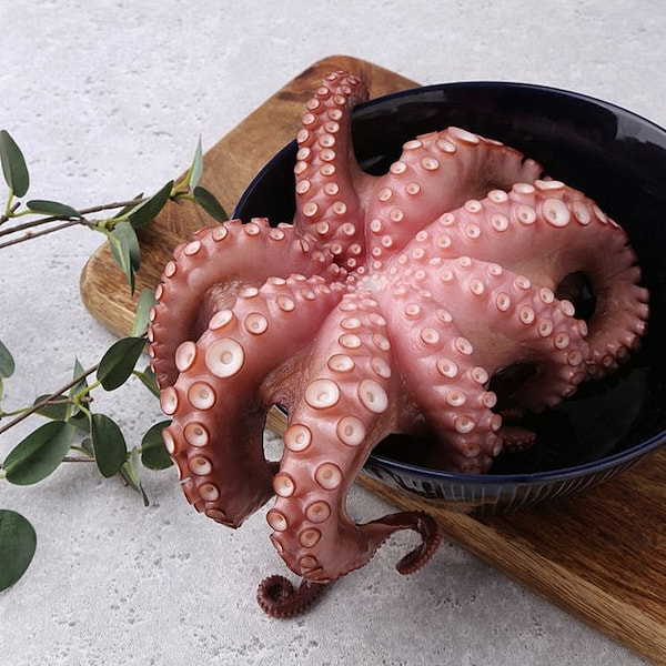 Prepped and Blanched Domestic Octopus