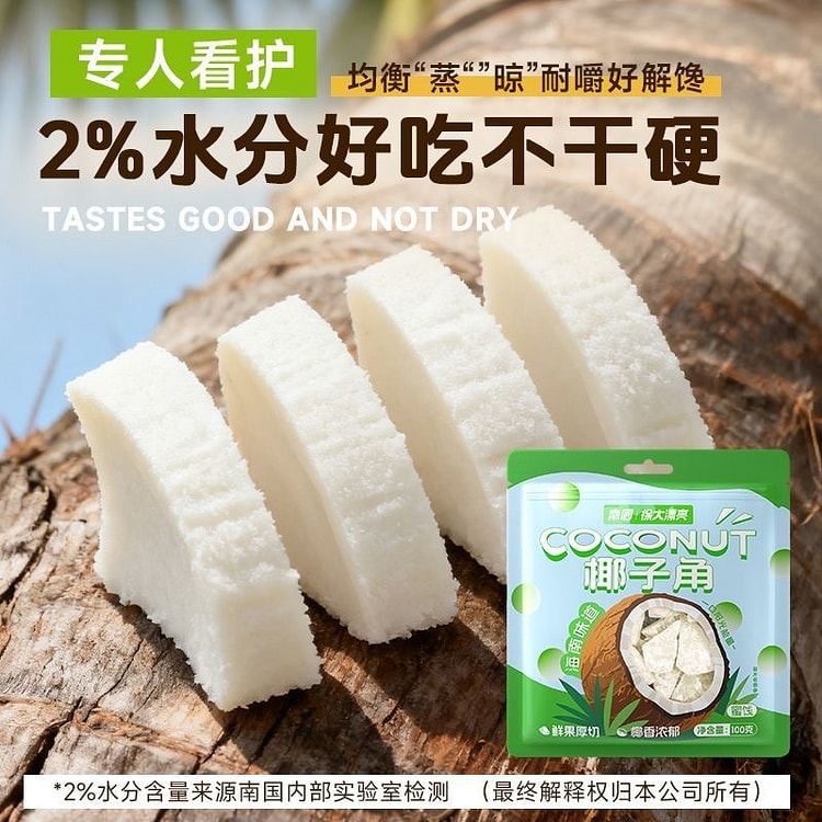 海南特产南国椰子角椰果生椰脆块1袋 100 克