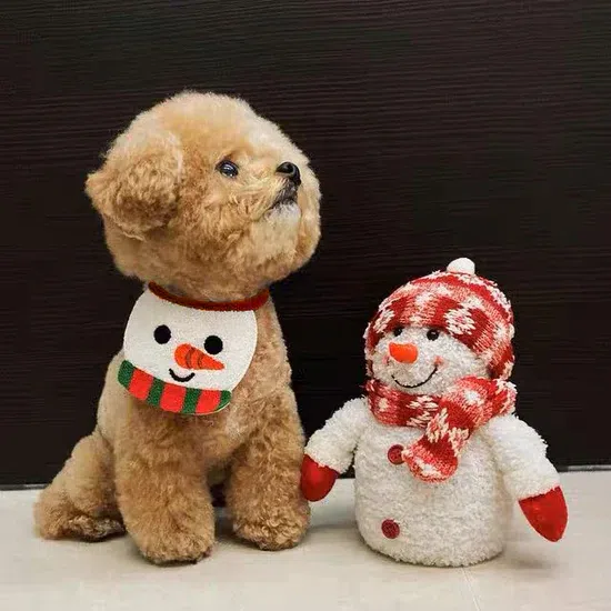 Christmas Snowman Bibs 1 each