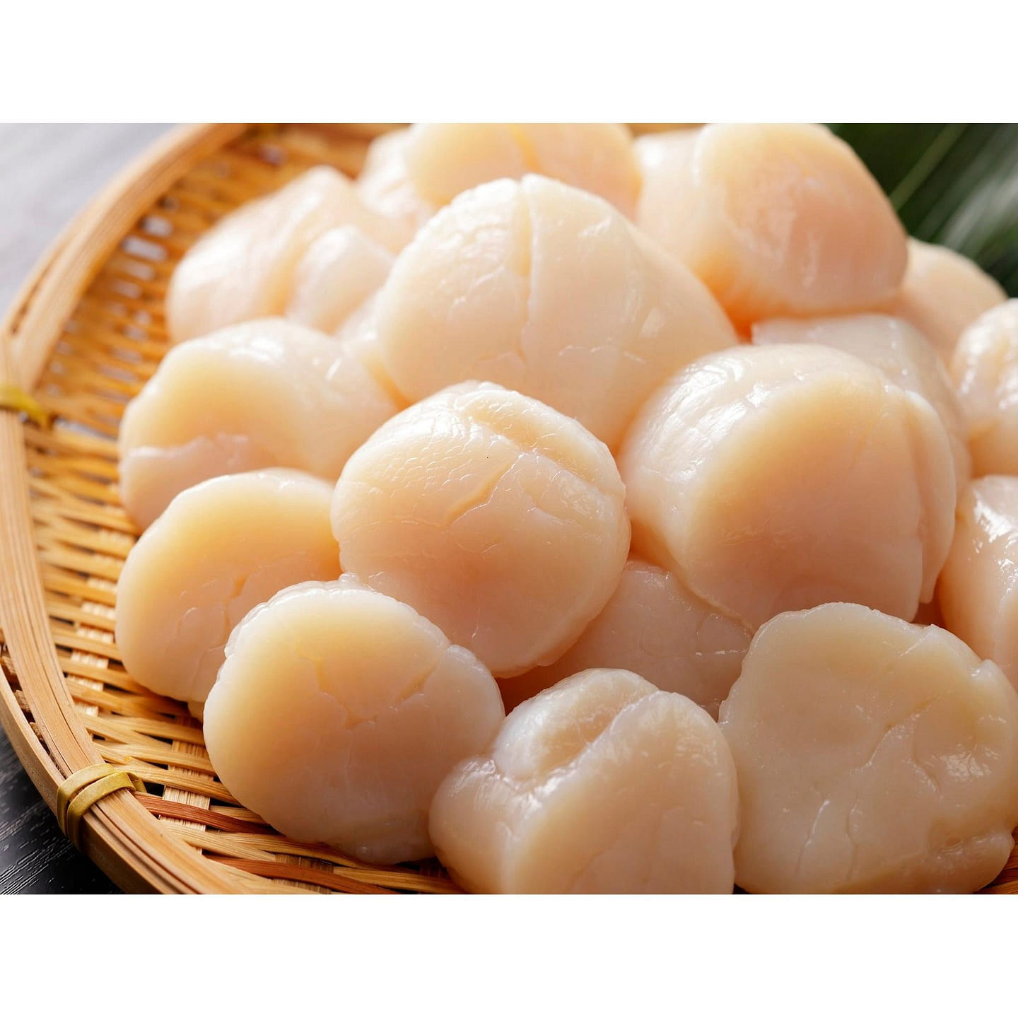 Hokkaido Hotate (Sashimi Quality) 1kg 1 each