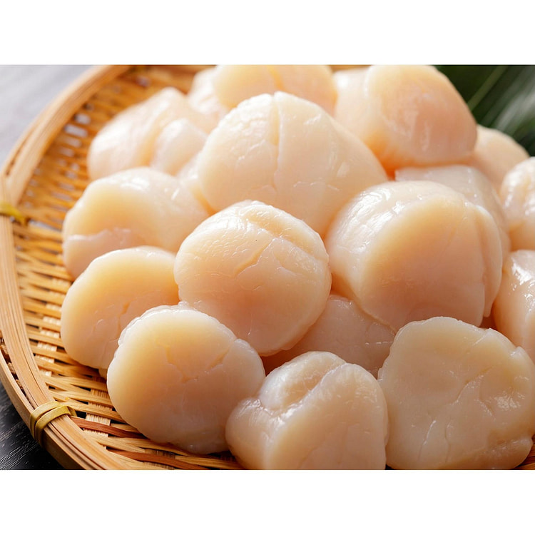 北海道扇贝（生鱼片品质）1kg