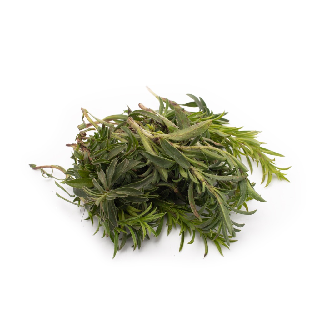 香味・薬味野菜 Sc e-hanas_4905832016358