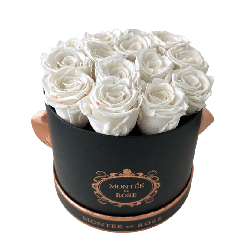 Black Medium Round Pure White 1 each