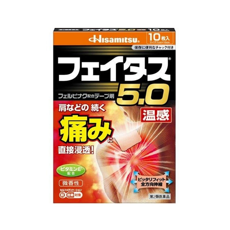 Hisamitsu Feitas 5.0 Warmth Pads 10 Sheets 1 box