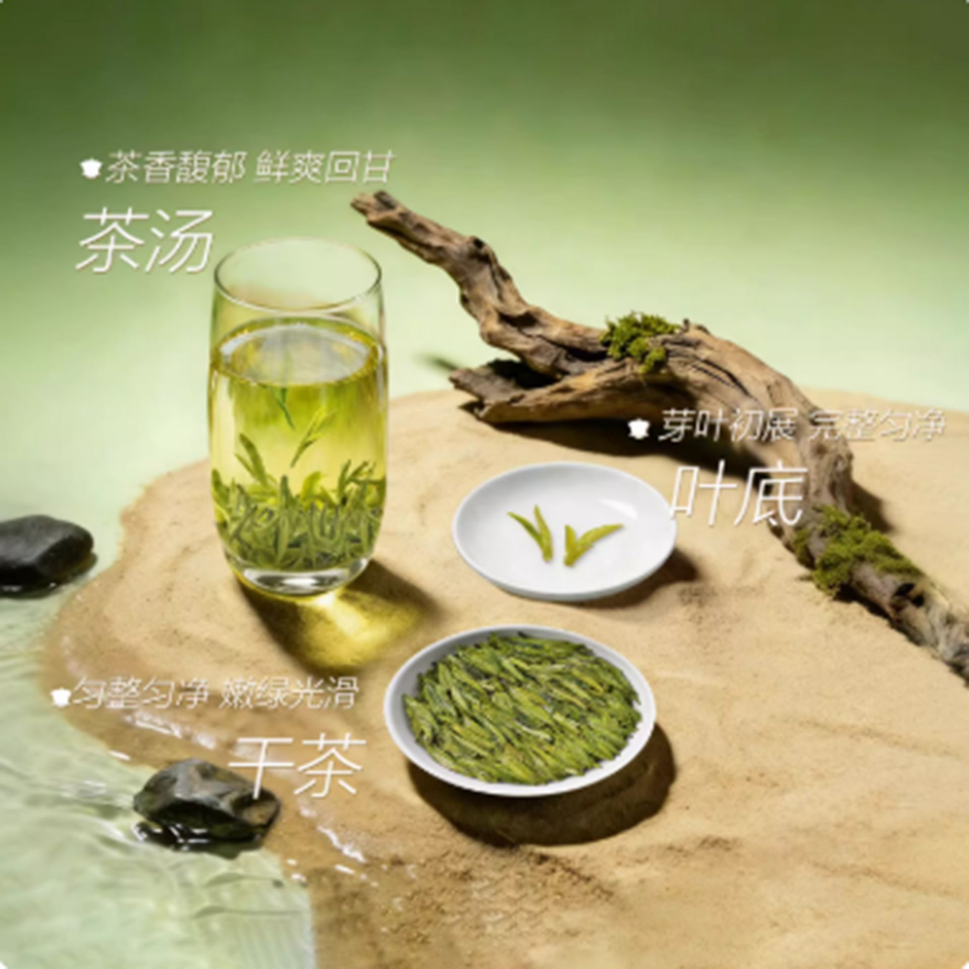 貢牌明前特級龍井茶2026新茶上市50 克- Weee!