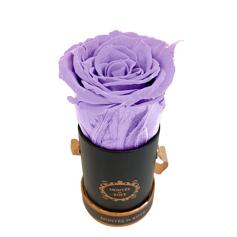 Black Mini Round Light Purple 1 each