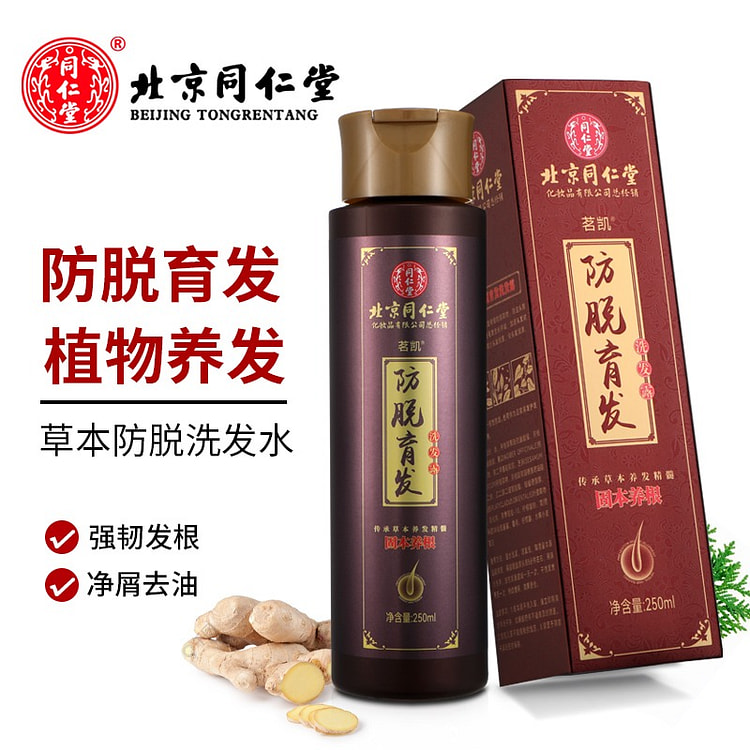 Ginger Side Cypress Leaf Shampoo 250 ml