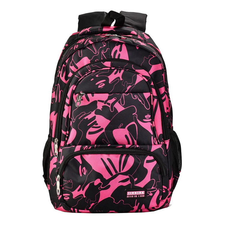 Backpack for School/Travel and Work with Padded Co 1 box