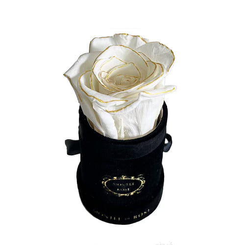 Gold Pearl in Black Suede Round MINI 1 each
