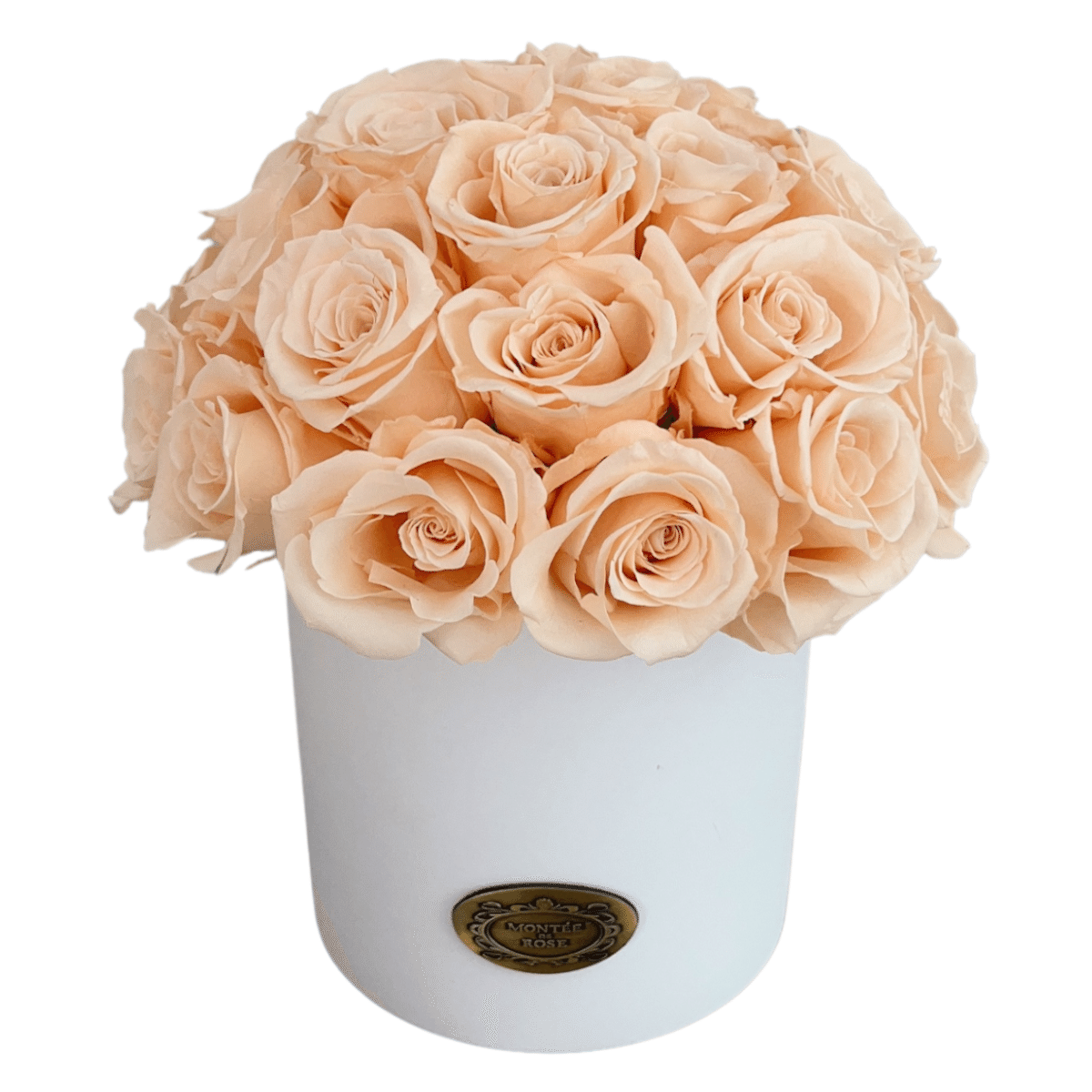 Cream Rose Hamptons Vase 1 each