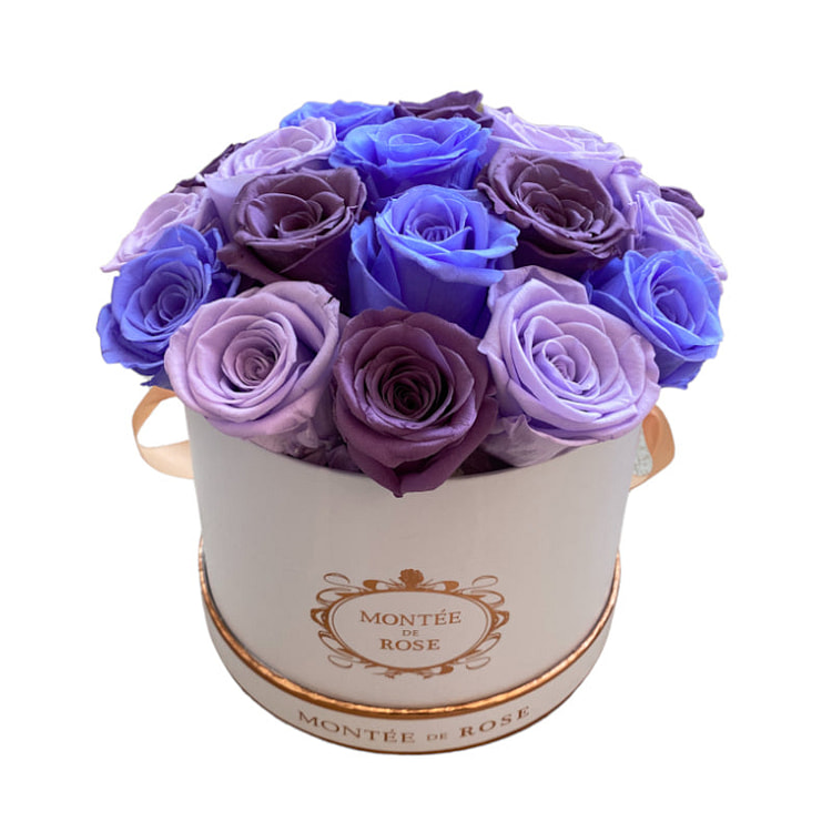 Violet Dome