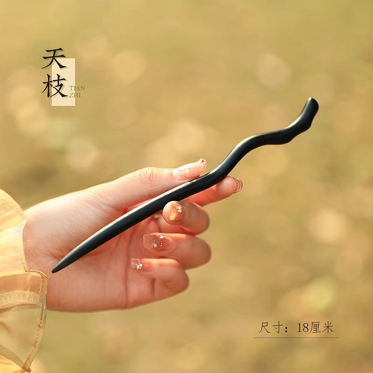 追师 黑檀木发簪女日常盘发木质簪子高级感 黑檀天枝