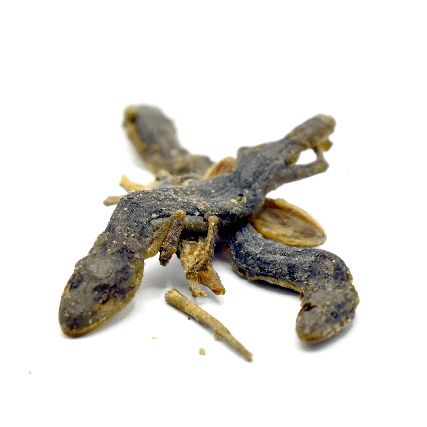 SHOU GONG – Gecko – 1 piece 1 each