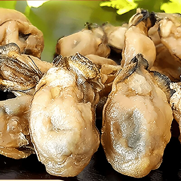 生蚝干干货非特级大海蛎干生晒蚝干250g 250 克