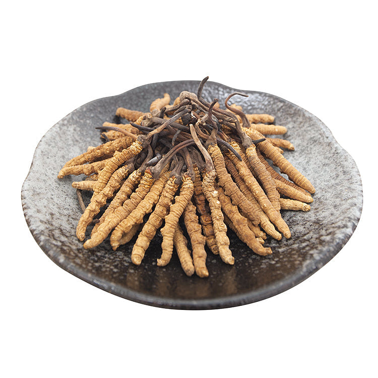 Hong Kong ON KEE Premium Cordyceps King (85-95pcs/37g) 1 box