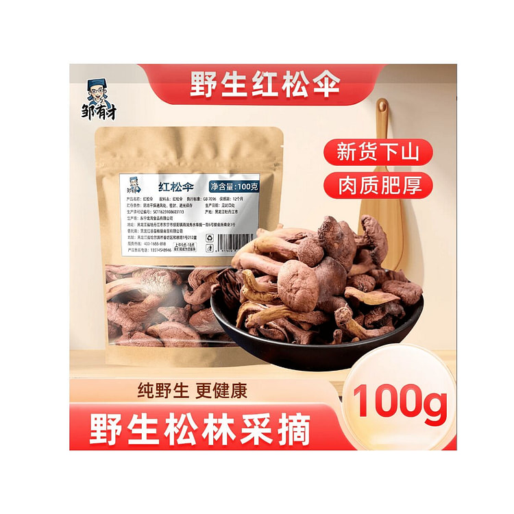邹有才  红松伞蘑菇  100g*1袋 100 克