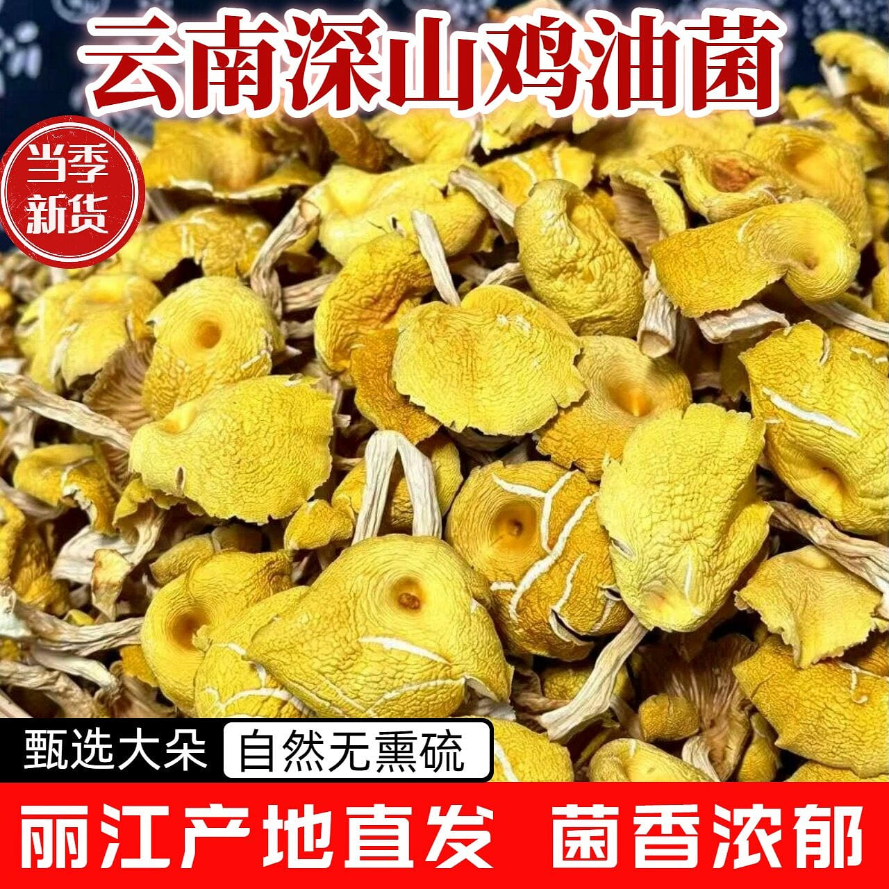 Xueyao Yunnan Chicken Oil Fungus Dried Product 100 g