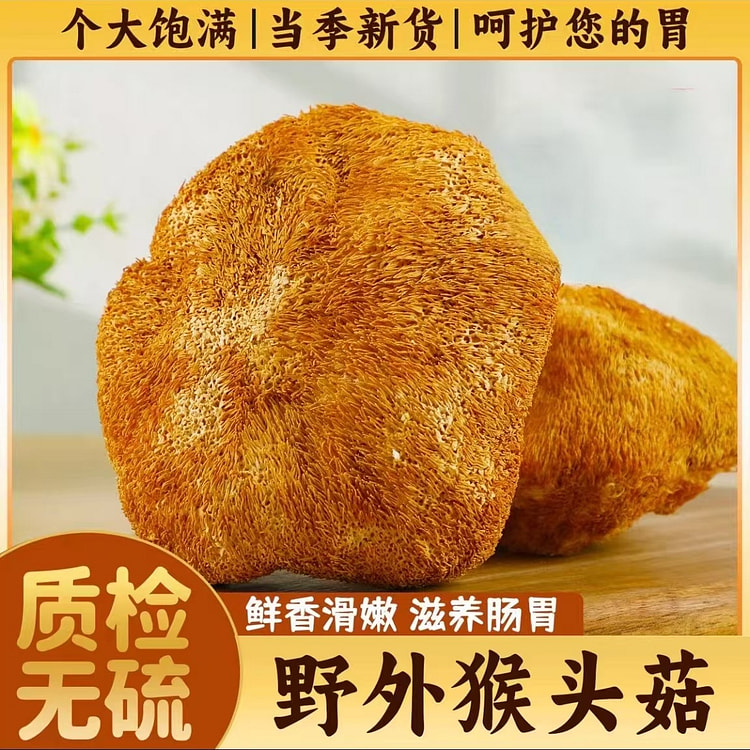 High-quality Changbai Mountain lion's mane mushroo