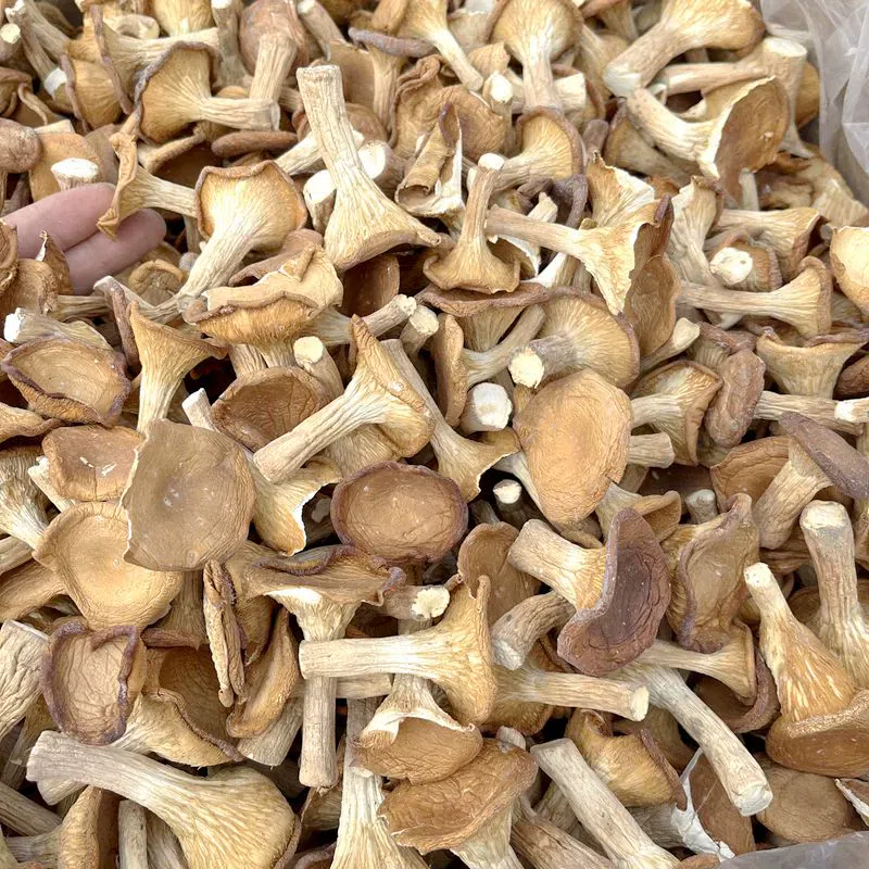 Pork belly mushrooms, dried agricultural products, native products, shiitake mushrooms, Yunnan mushrooms, 100g*1 bag 100 g