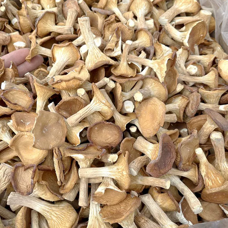 Pork belly mushrooms, dried agricultural products, native products, shiitak